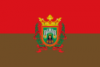 Bandera Burgos.png