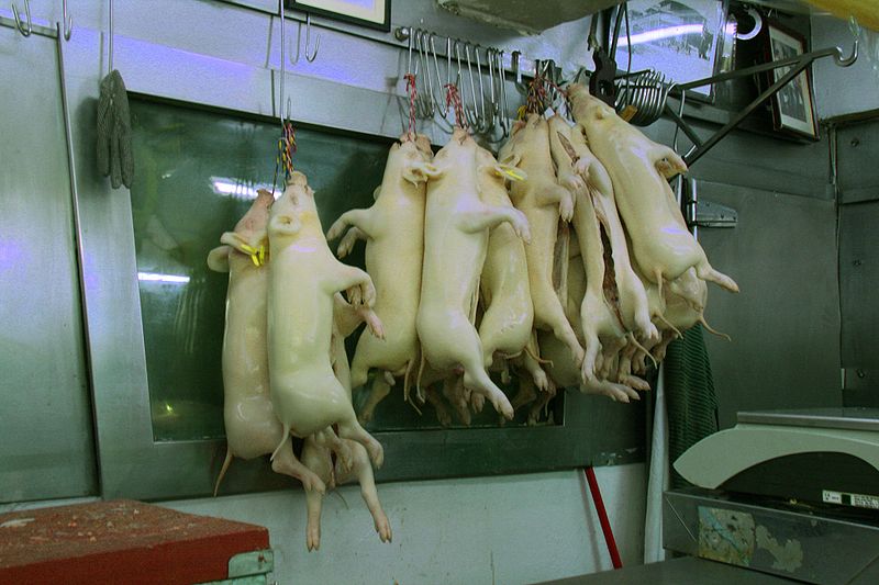 Archivo:Cochinillos-Mercado de la Cebada.jpg