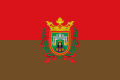 Bandera Burgos.png