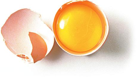Archivo:Huevos.jpg