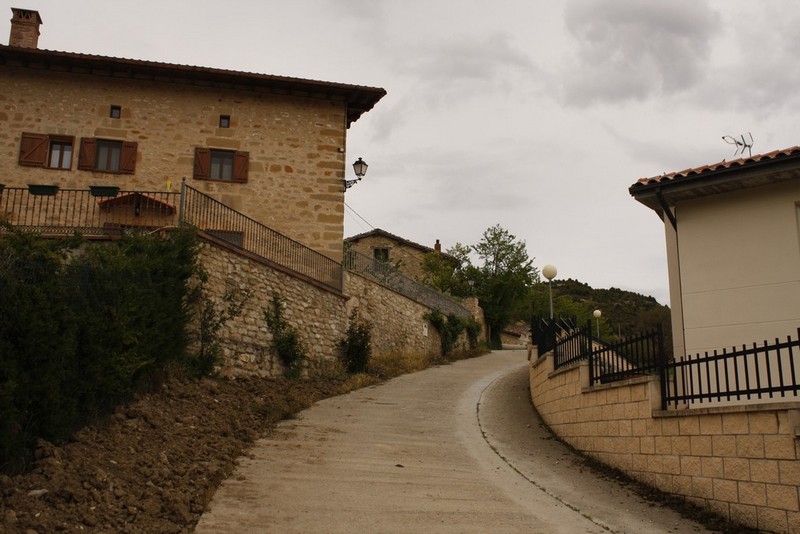 Archivo:Moscador de trevinio05.jpg