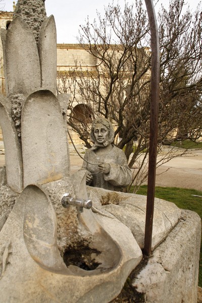 Archivo:Citores del paramo05.jpg