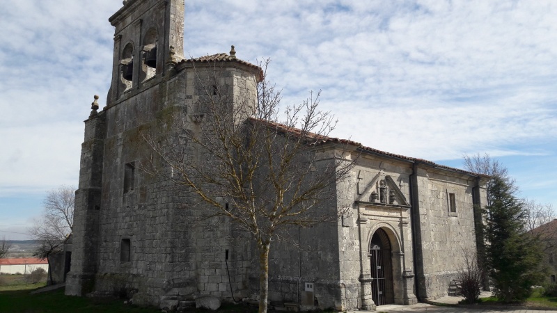 Archivo:Olmos de Atapuerca (1).jpg