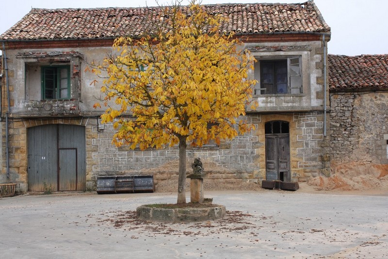 Archivo:Pesadas de burgos03.jpg