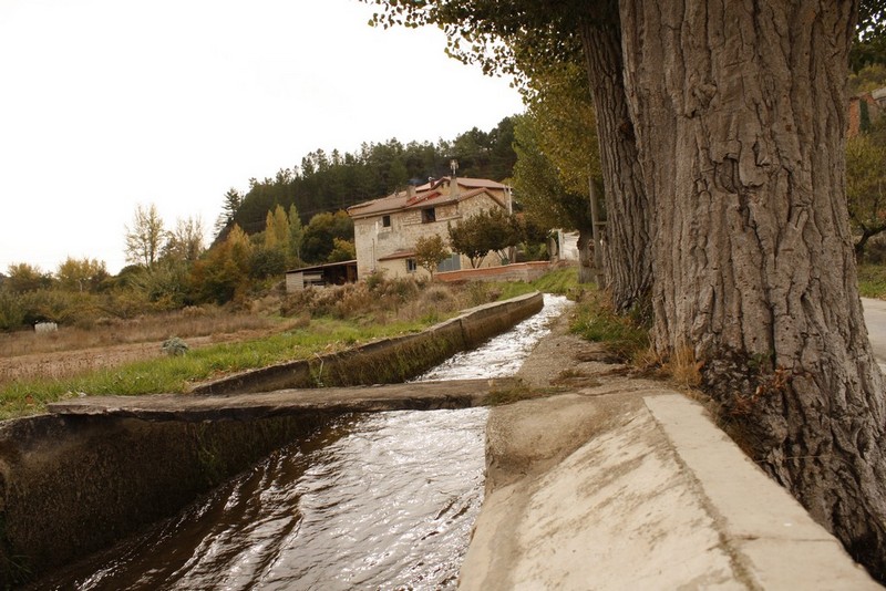 Archivo:Rio quintanilla04.jpg