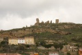 Cerezo de riotiron03.jpg