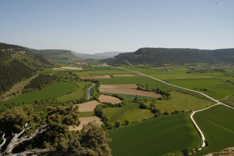 Archivo:San pantaleon de losa03.jpg