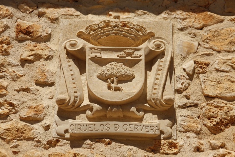 Archivo:Ciruelos de cervera03.jpg