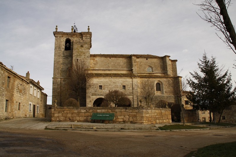 Archivo:Citores del paramo03.jpg