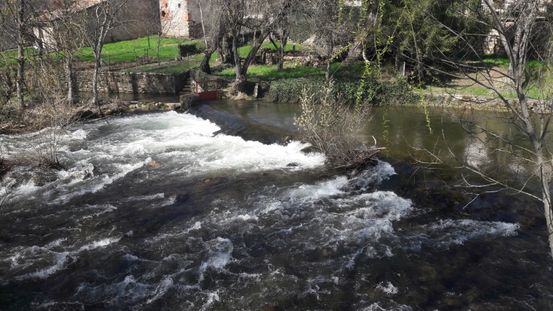 Archivo:Barbadillo de Herreros.jpg