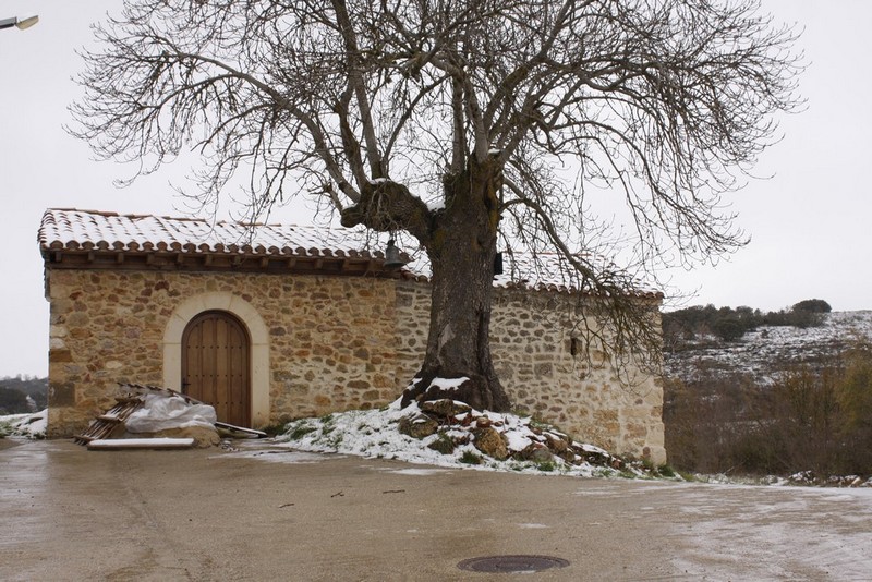 Archivo:Cubillo de bruton02.jpg