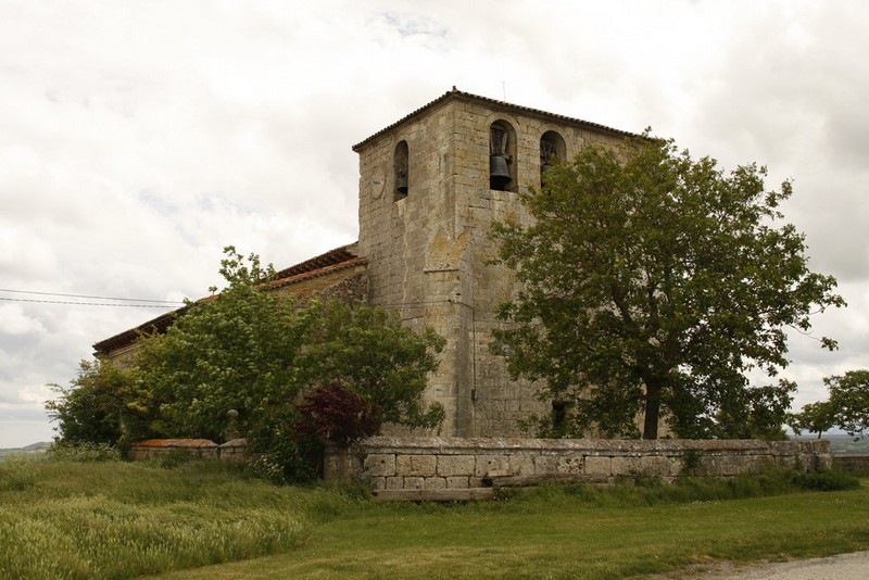 Archivo:Fresno de rodilla03.jpg