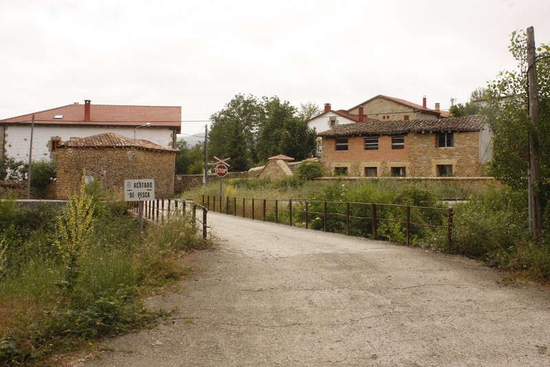 Archivo:San martin de porres01.jpg