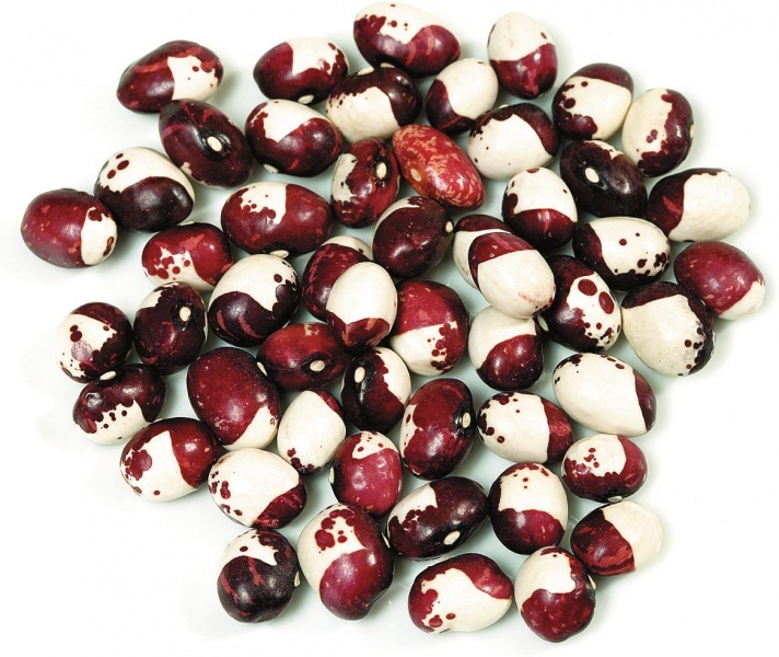 Archivo:Caparrón de Belorado.jpg