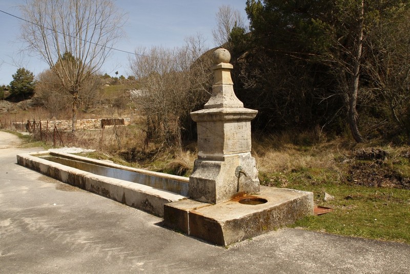 Archivo:Rabanera del pinar05.jpg