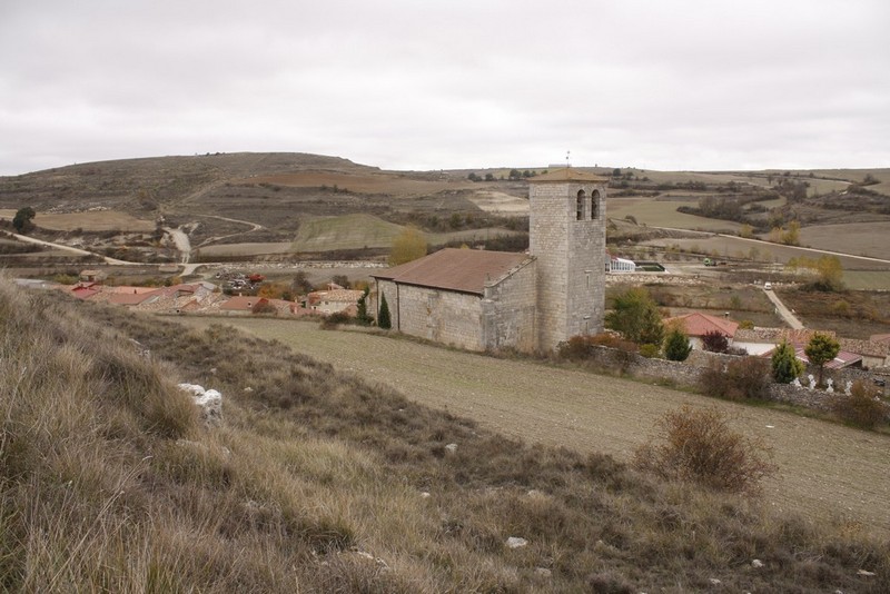 Archivo:Susinos del paramo06.jpg