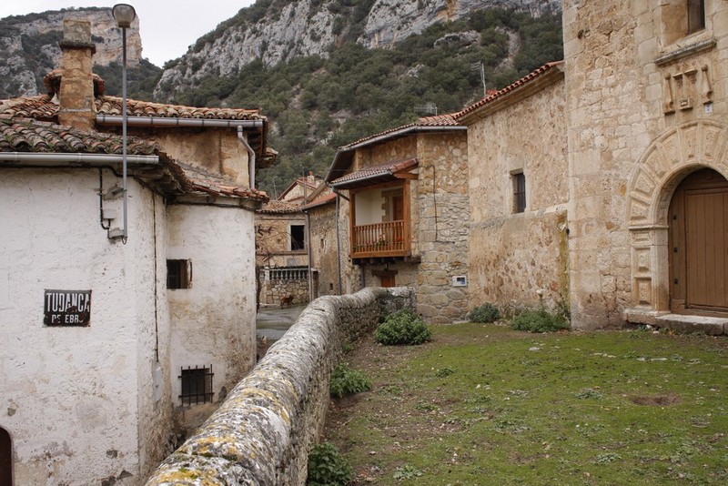 Archivo:Tudanca03.jpg
