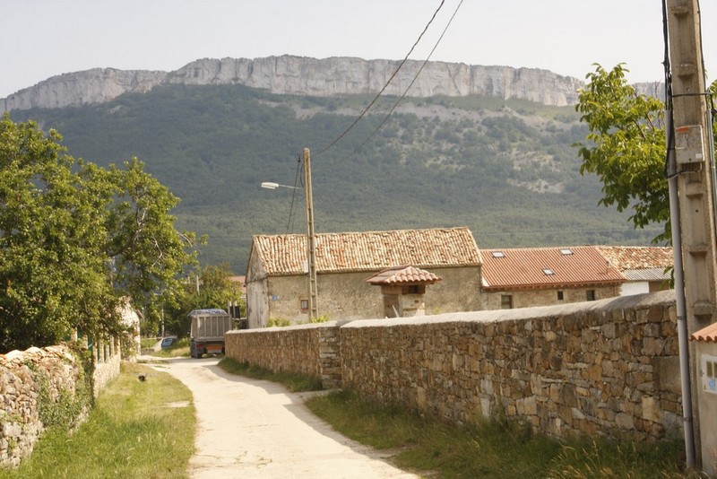 Archivo:Barcenillas de cerezo04.jpg