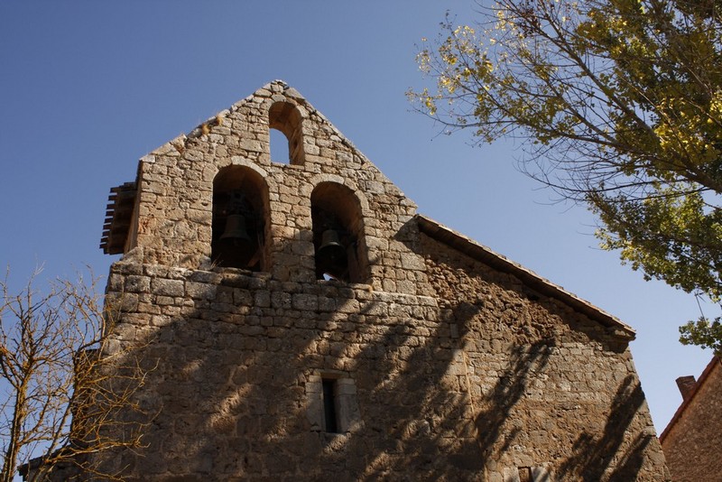 Archivo:Cobos junto a la molina04.jpg