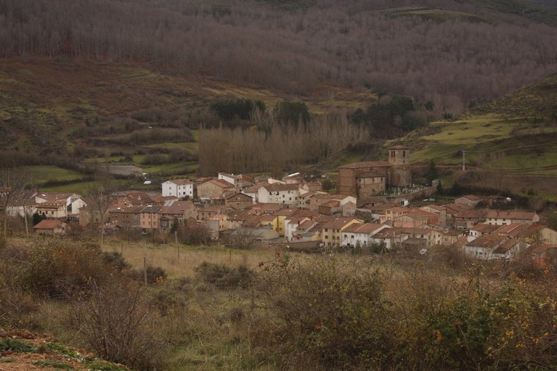 Archivo:Fresnada de la sierra tiron01.jpg