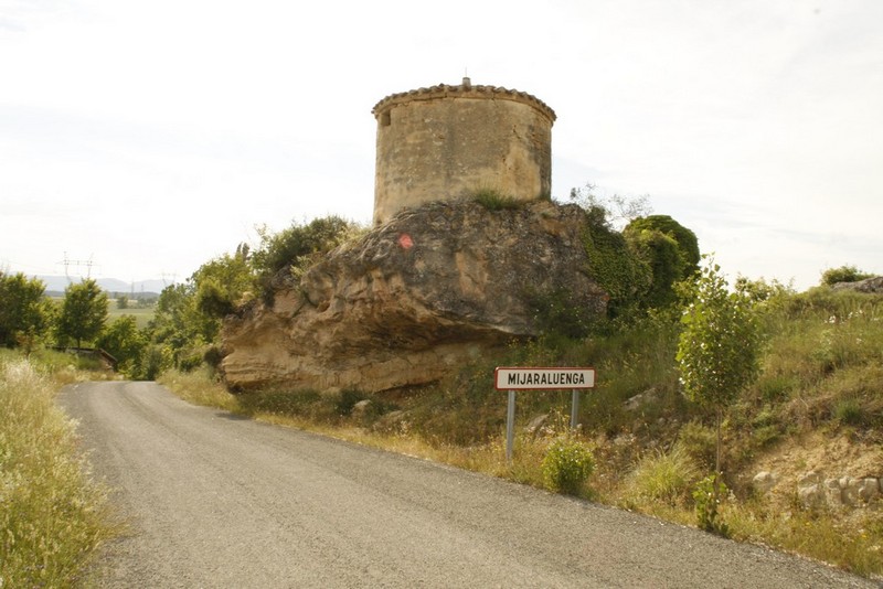 Archivo:Mijaralengua05.jpg