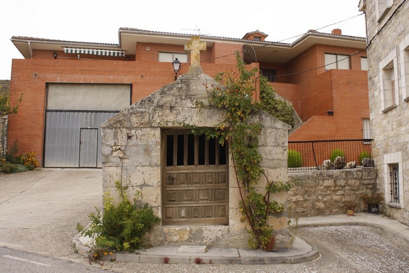 Archivo:Susinos del paramo01.jpg