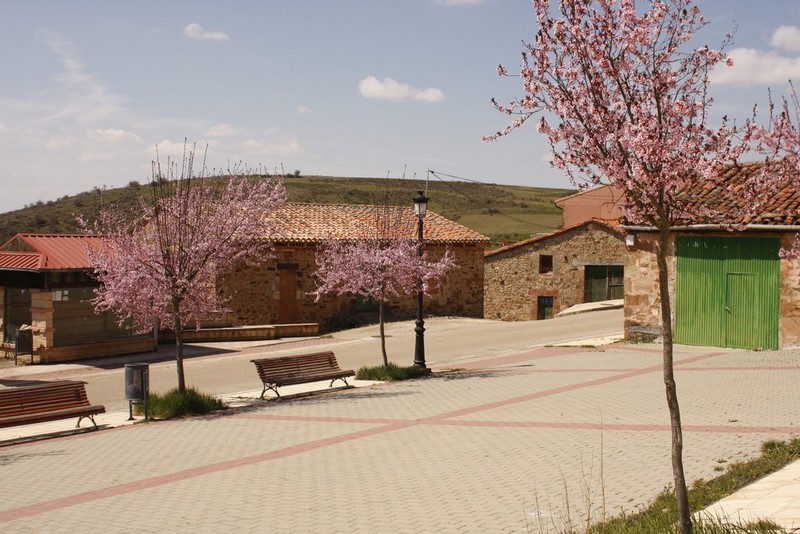 Archivo:San millan de lara08.jpg