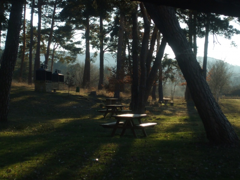 Archivo:Merendero piscinas.JPG