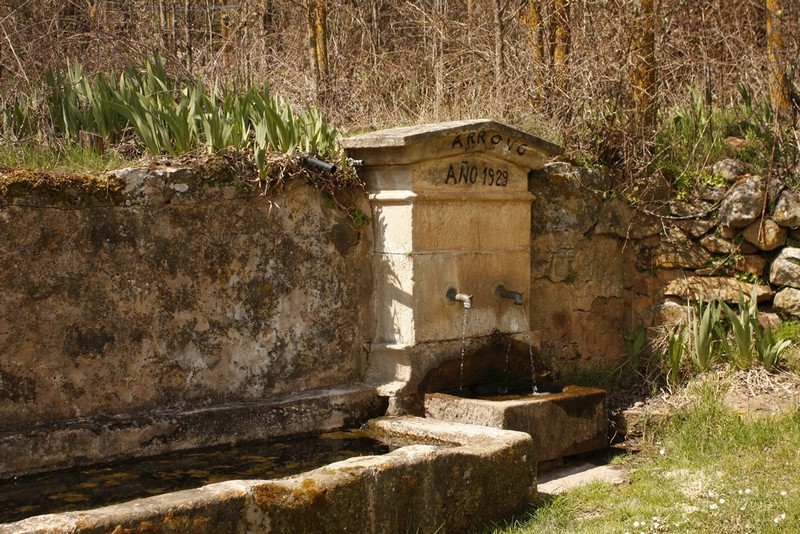 Archivo:Arroyo de salas03.jpg