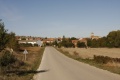 Olmos de atapuerca06.jpg