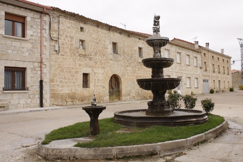 Archivo:Susinos del paramo02.jpg