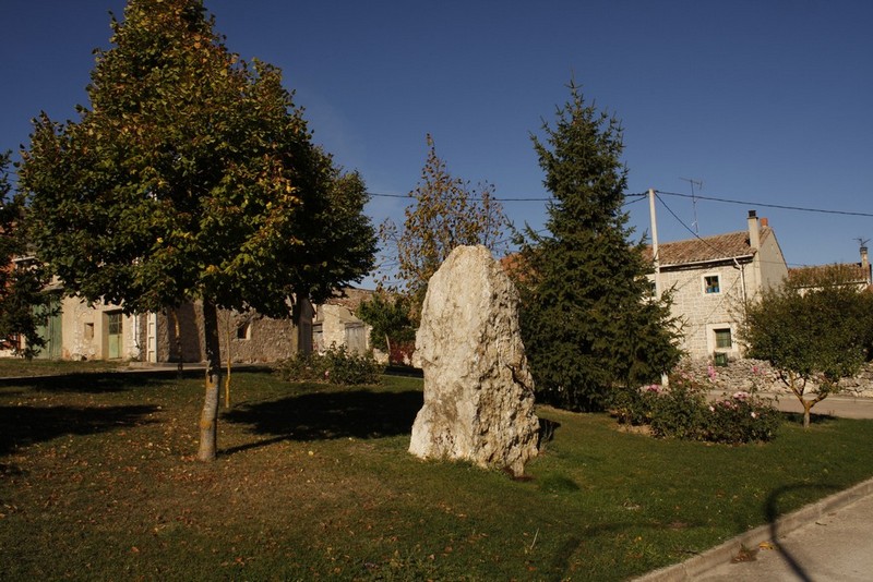 Archivo:Olmos de atapuerca05.jpg